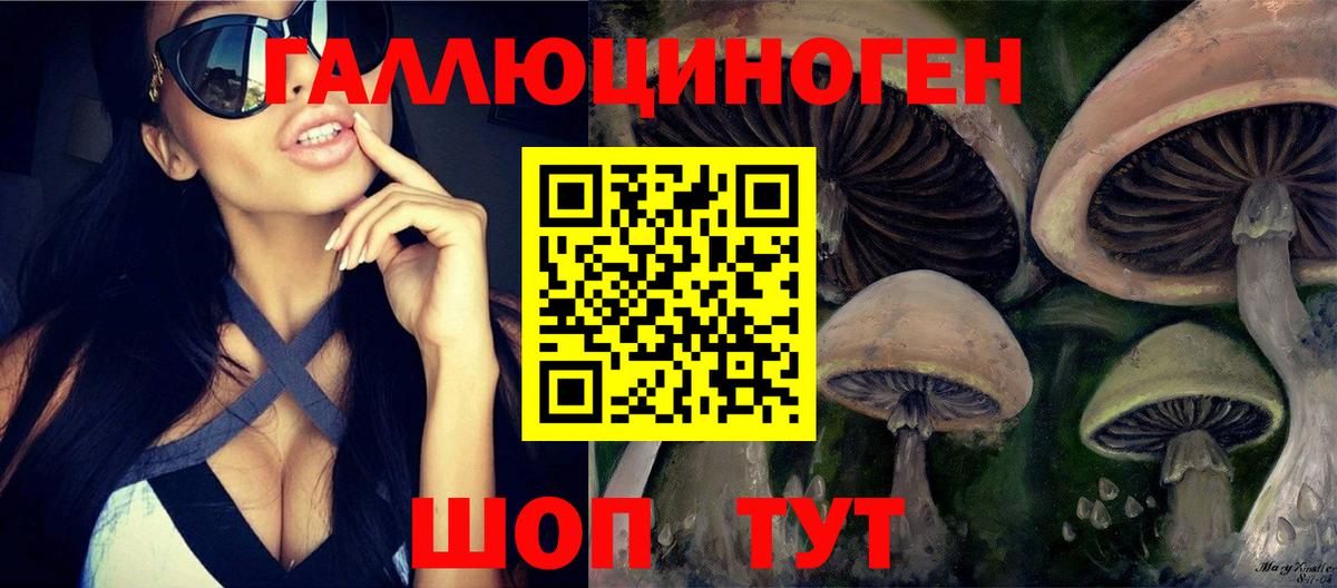 продажа наркотиков  Псилоцибиновые грибы мухоморы  Псилоцибиновые грибы Psilocybine cubensis  Вход с VPN  Карпинск 