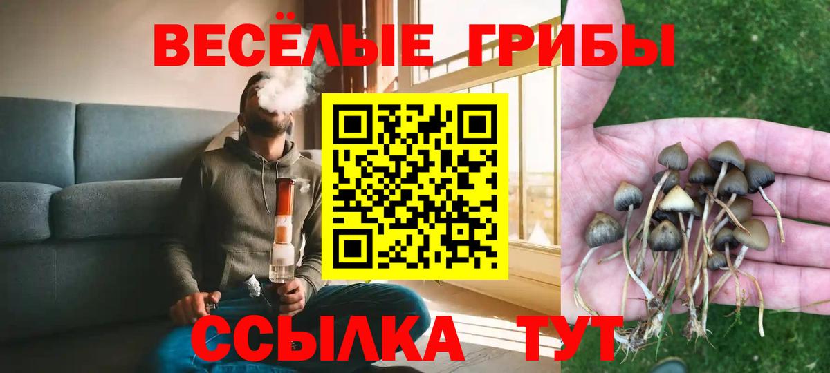 Галлюциногенные грибы мухоморы Карпинск